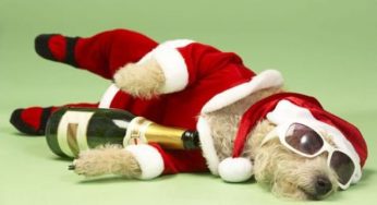 How to fight post-holiday depression