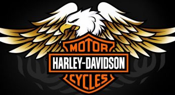 Harley Davidson 2014: Dyna Low Rider – SuperLow 1200T – Street Bob Special Edition