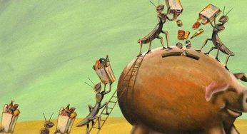 Workplace Productivity Lessons To Learn From Inferior Species