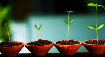 5 Ways In Which Launching A Start Up Is Pretty Much Like Having A Baby