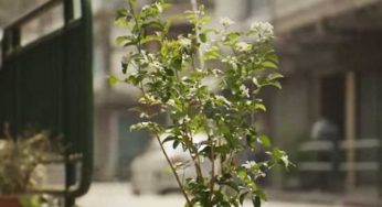 This 3 Minutes Video Explains How You Can Become Hero And Make The World More Beautiful!