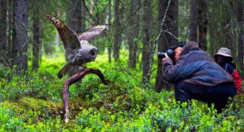 When Nature, Adventure, And Passion Go All Together: A Career In Wildlife Photography