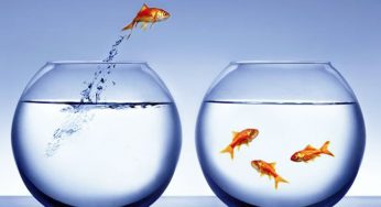 #CareerTransition: 5 Ways To Change The Inevitable Into Success