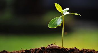 Master In Social Entrepreneurship: Expanding Boundaries To Matters Of Human Interest