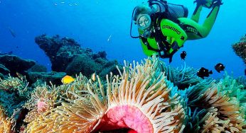 I Dare You – Explore These Adventure Sports Destinations In India!