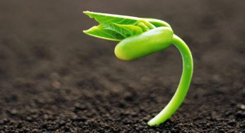 4 Roles Every Entrepreneur Must Play To Achieve Exponential Growth For The Company