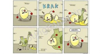 Ande Ka Funda – The Egg/Chicken Cycle