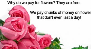 Does Paying For Flowers Make Sense?