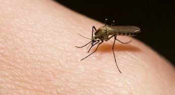 Beware Of These Symptoms Of Dengue And Here’s What You Need To Do To Avoid It!