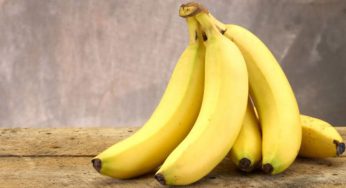 Bananas Are Good For Your Health But It Can Be Fuzzy On Your Weight As Well!