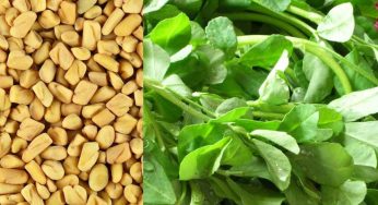 These 7 Health Benefits Of Methi Will Boost Up Your Health Plans!
