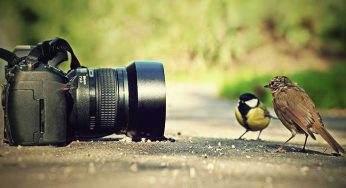 Amazingly Advanced Technology For Your Photos : Memories For A Lifetime