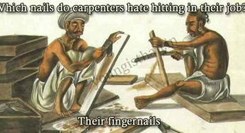 The Only Thing That Carpenters Hate About Their Job Is…