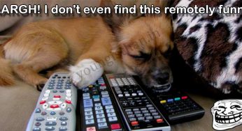 This Is Not Even Remotely Funny