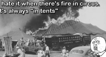 Fire In Circus Are Always Intense