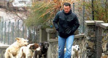Wannabe Animal Lovers Creating Nuisance For The Society