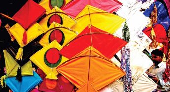 Be A Part Of The International Kite Festival This January!